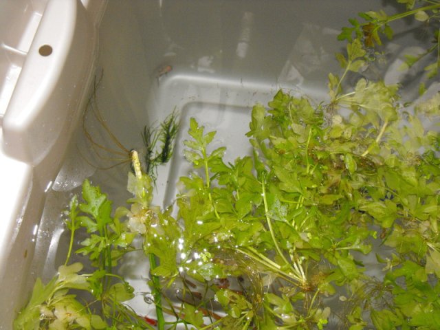 DSCF0169.jpg
