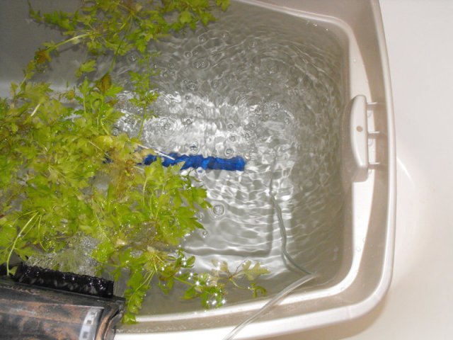 DSCF0166.jpg