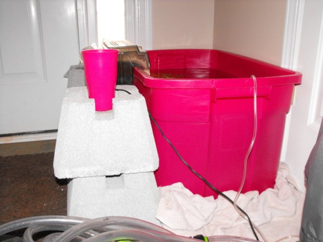DSCF0159.jpg