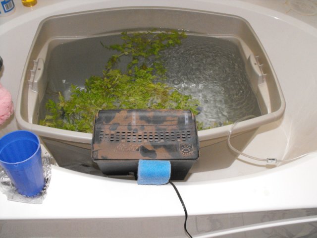 DSCF0164.jpg