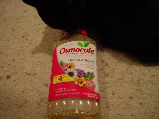 Osmocote 002.JPG