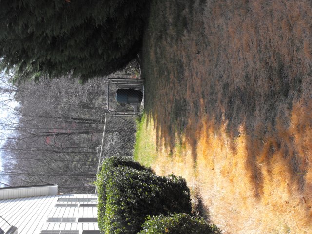 DSCF0171.JPG