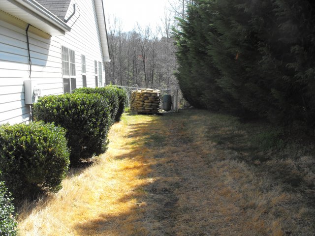 DSCF0174.JPG