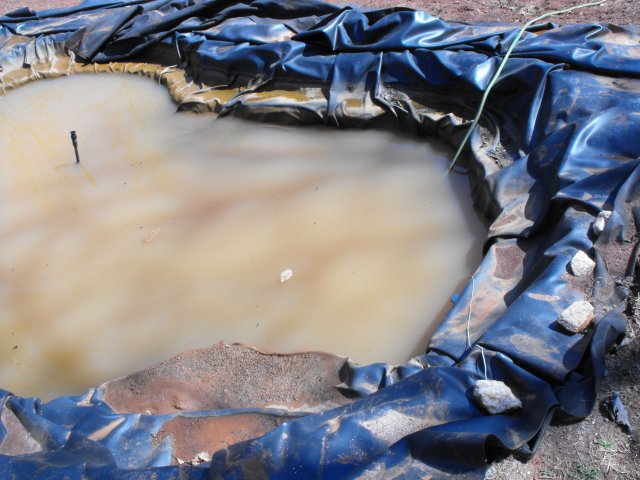 DSCF0178.JPG