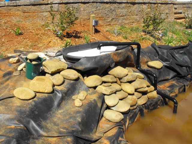 DSCF0181.JPG