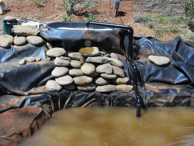 DSCF0183.JPG