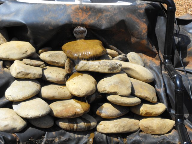 DSCF0184.JPG