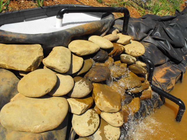 DSCF0187.JPG