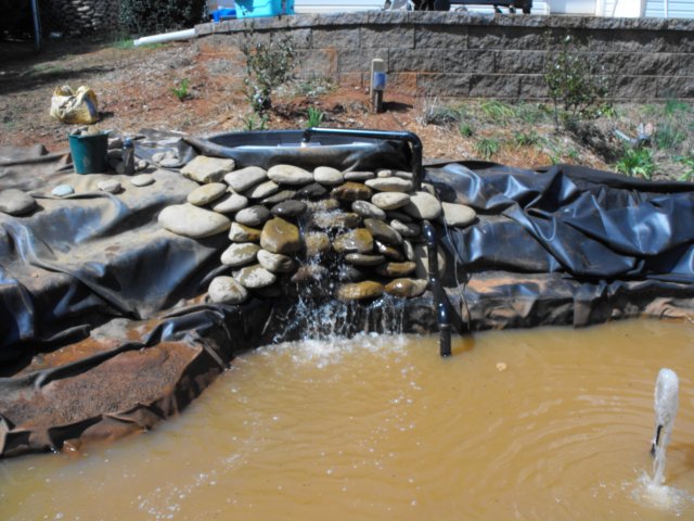 DSCF0188.JPG