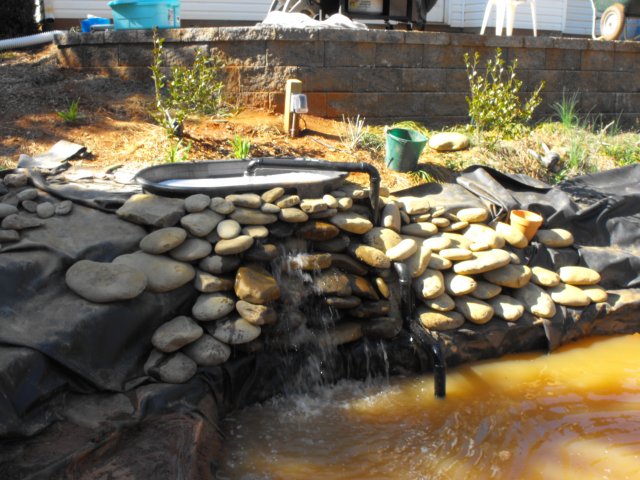 DSCF0194.JPG