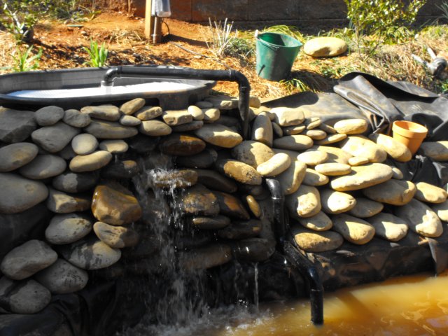 DSCF0195.JPG