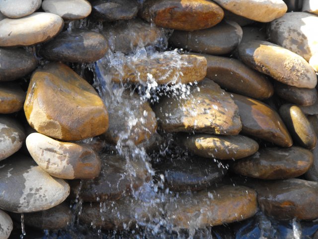 DSCF0196.JPG