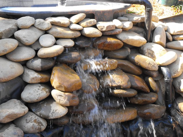 DSCF0197.JPG