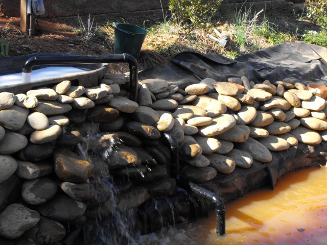 DSCF0203.JPG