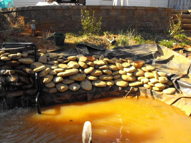 DSCF0204.JPG