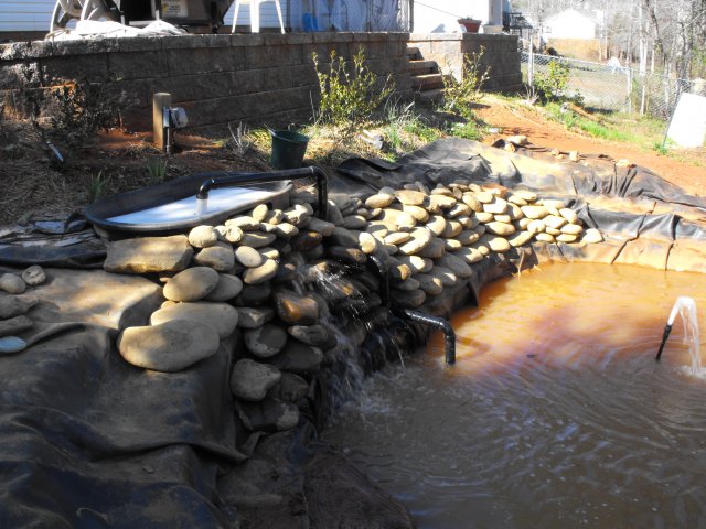 DSCF0201.JPG