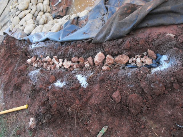 DSCF0217.JPG