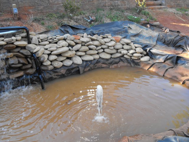 DSCF0210.JPG