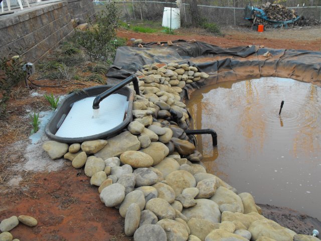 DSCF0225.JPG