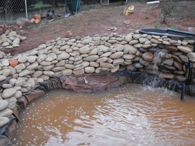DSCF0220.JPG