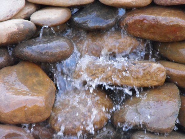 DSCF0222.JPG