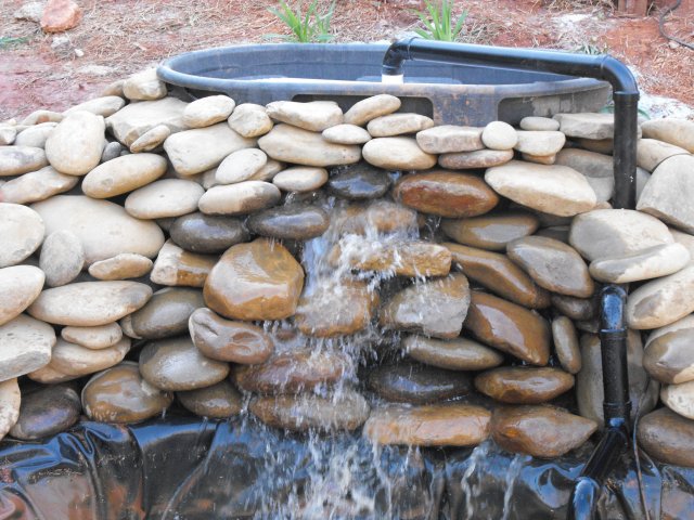 DSCF0223.JPG