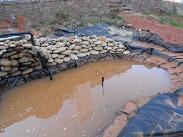 DSCF0227.JPG