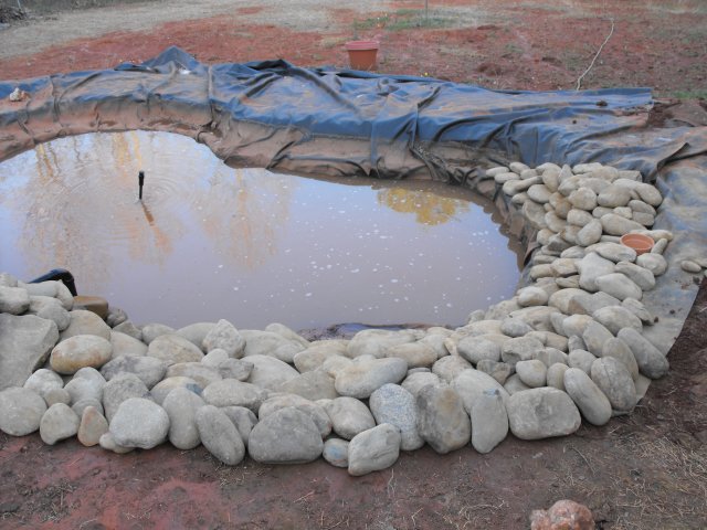 DSCF0224.JPG