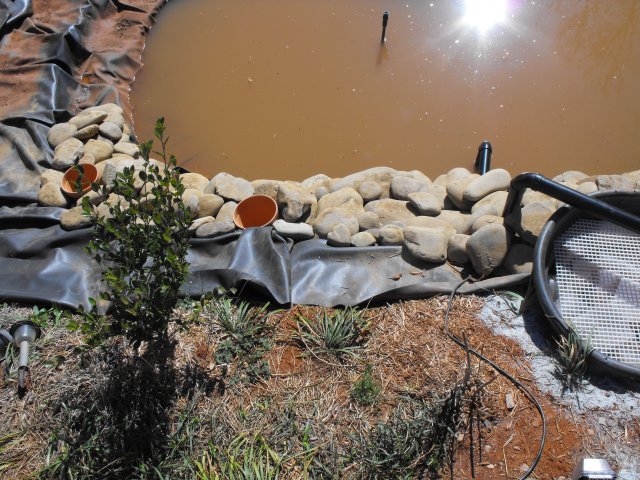DSCF0003.JPG