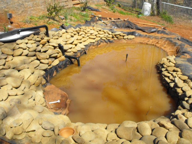 DSCF0021.JPG