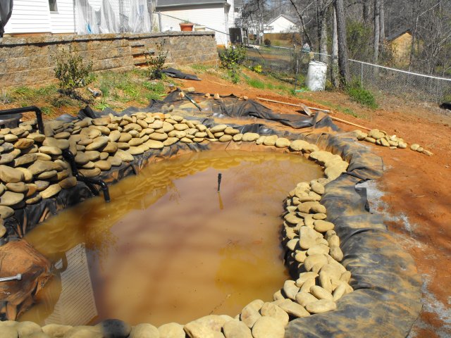 DSCF0024.JPG