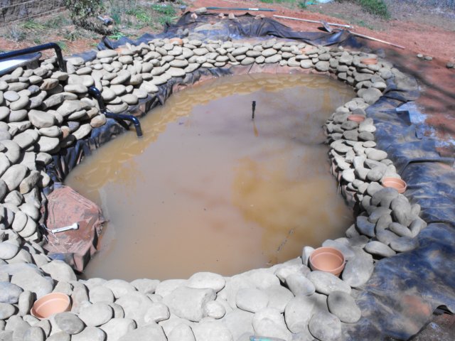 DSCF0029.JPG