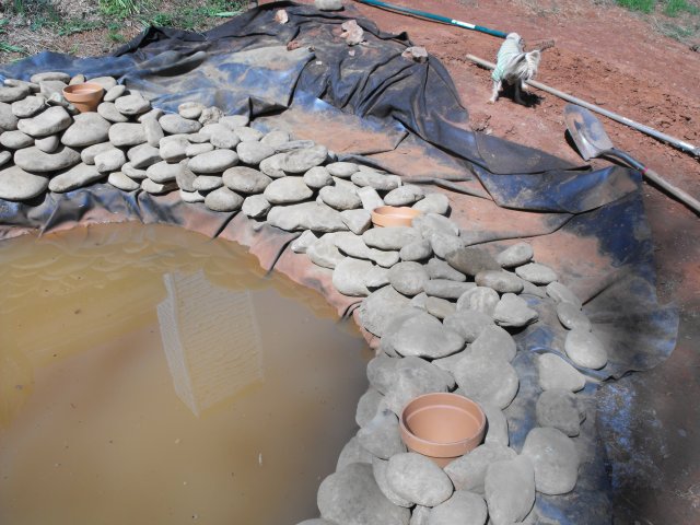 DSCF0031.JPG