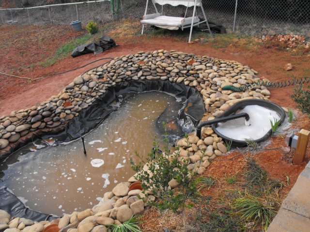 DSCF0002.JPG