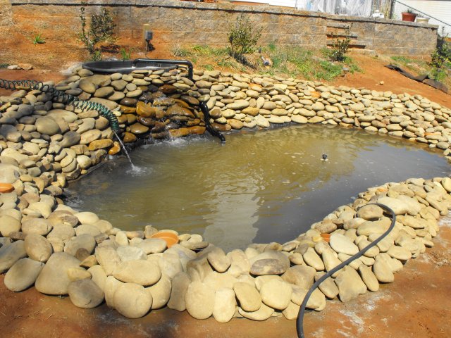 DSCF0010.JPG