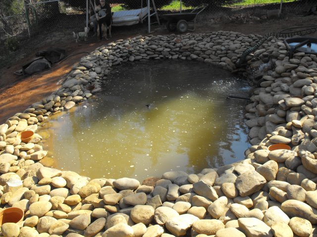 DSCF0032.JPG