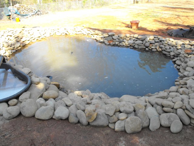 DSCF0038.JPG