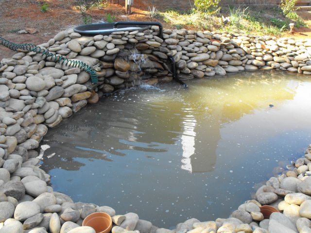 DSCF0030.JPG
