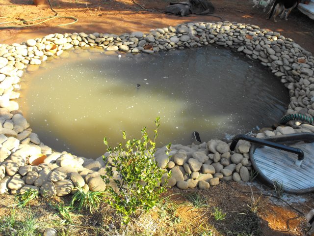 DSCF0036.JPG