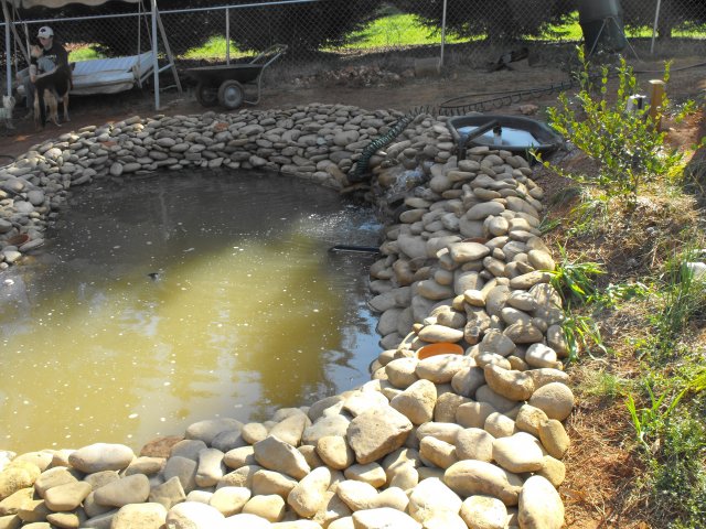 DSCF0033.JPG