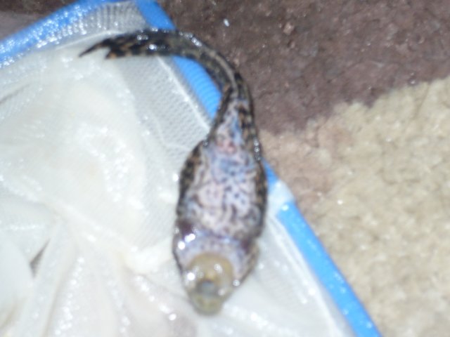 P1060243.JPG P1060243.JPG