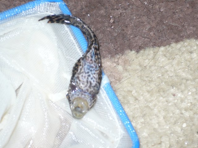 P1060244.JPG P1060244.JPG