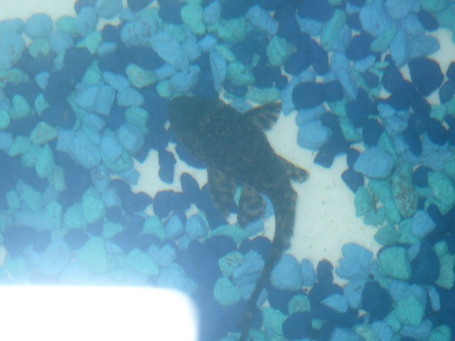 P1060236.JPG P1060236.JPG