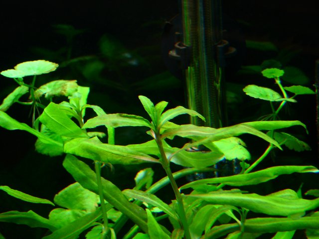 5536118681_03f03cc80f_b.jpg