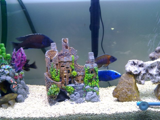 03192011202.jpg