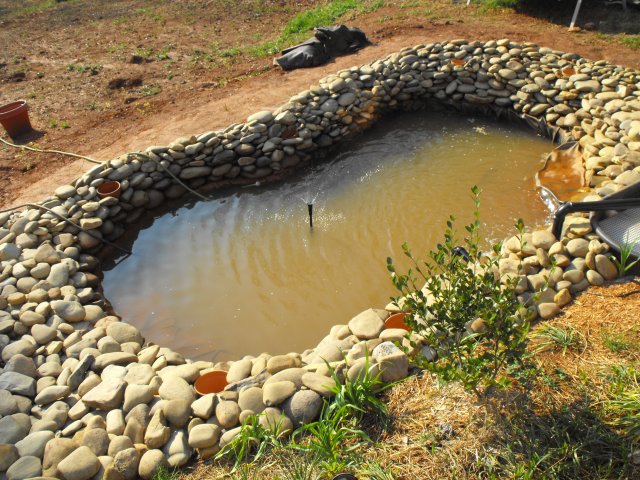 DSCF0039.JPG