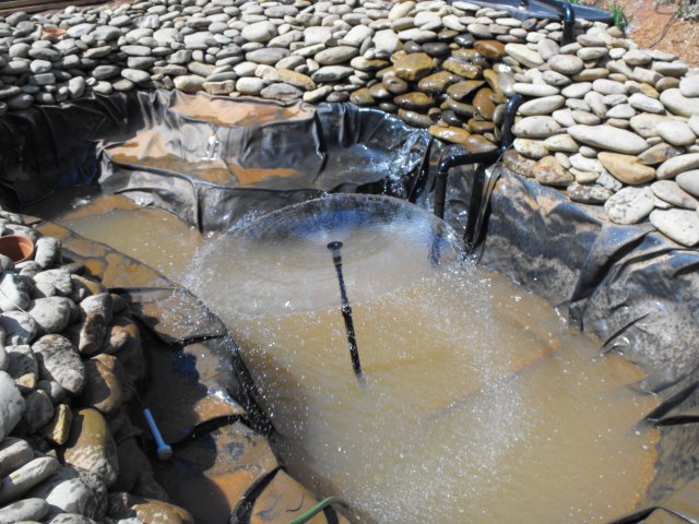 DSCF0050.JPG