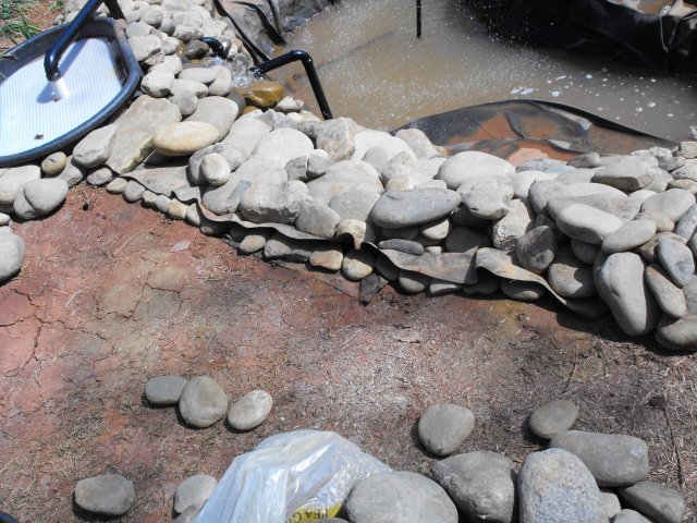 DSCF0052.JPG