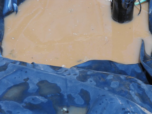 DSCF0063.JPG