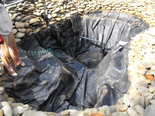 DSCF0068.JPG